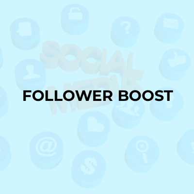 Follower Boost TikTok